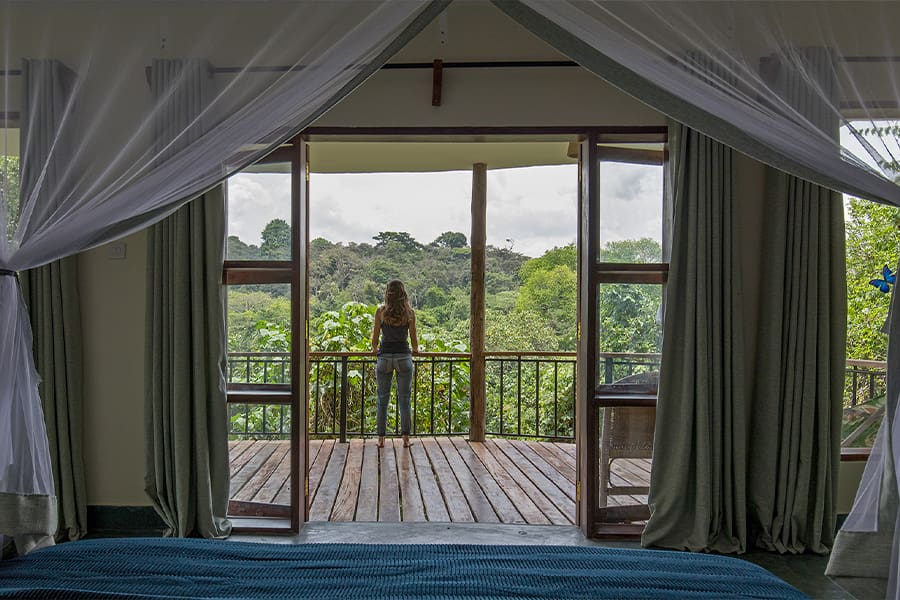 Turaco Treetops Lodge