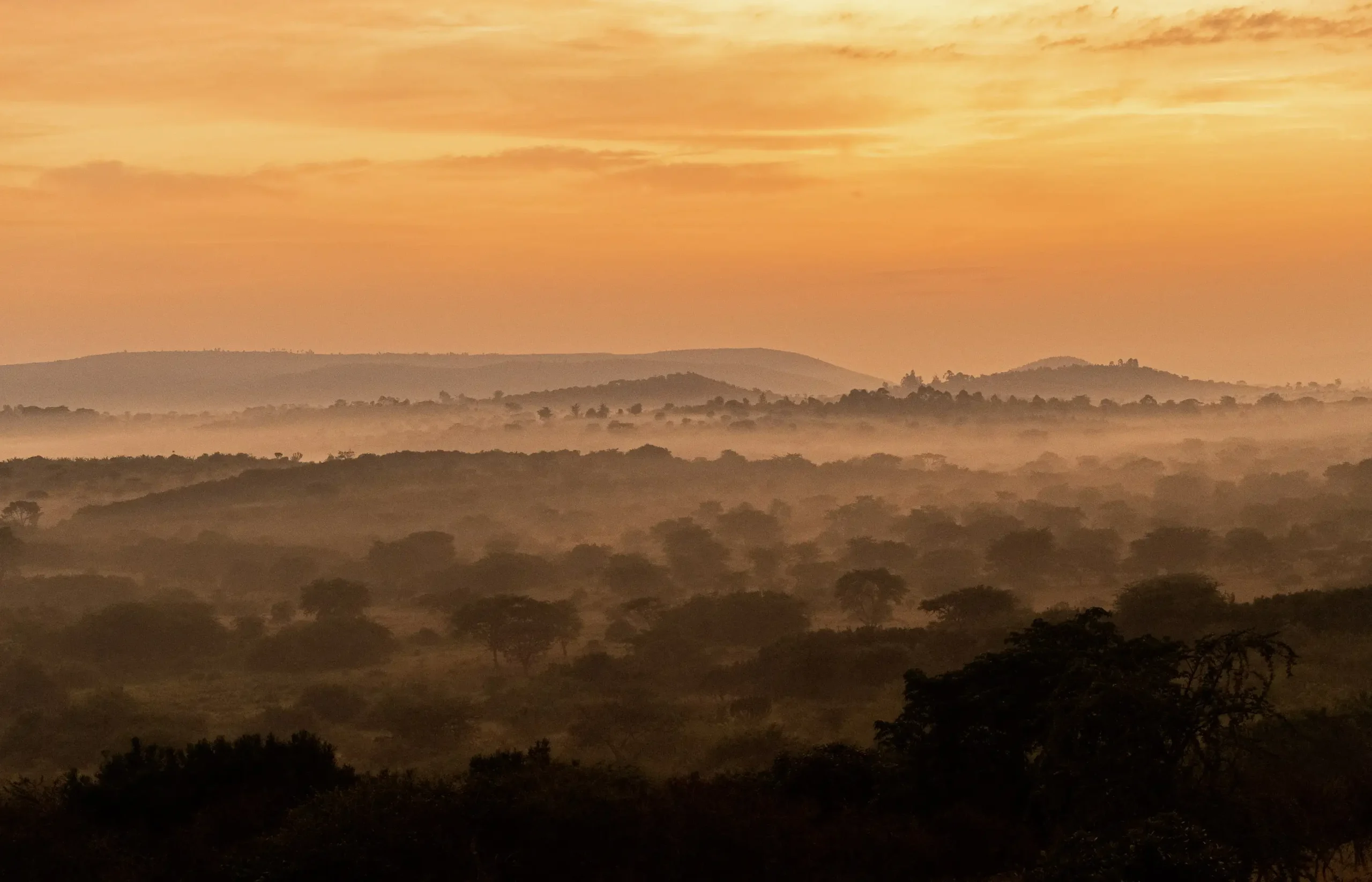 Mpogo Safari Lodge