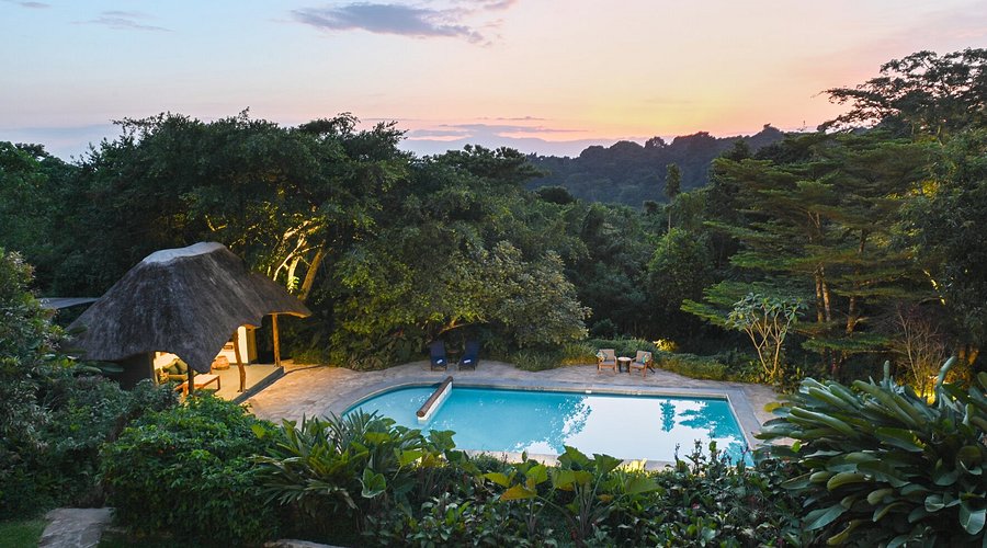 Turaco Treetops Lodge