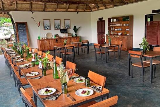 Turaco Treetops Lodge