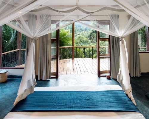 Turaco Treetops Lodge
