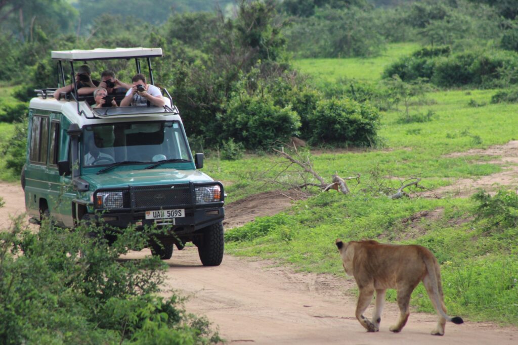 Pakuba safari Lodge