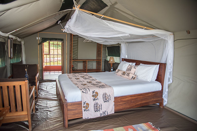 Twiga safari lodge