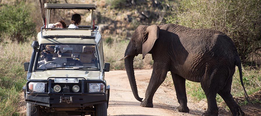Game Drive