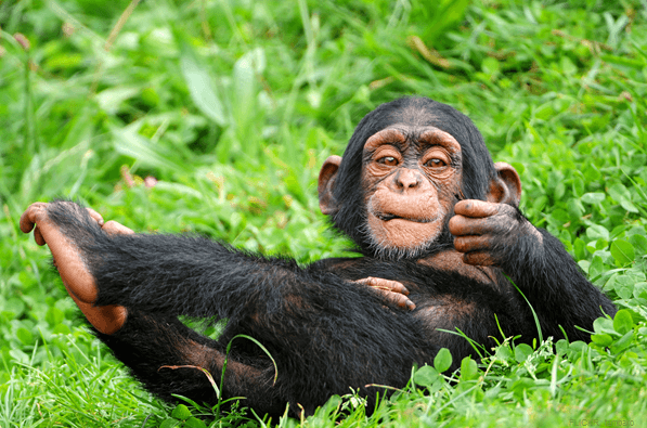 Queen Elizabeth National Park