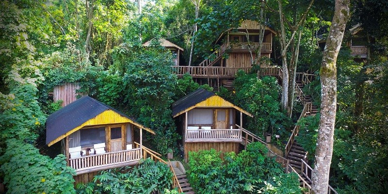 Bwindi Impenetrable National Park Buhoma sector