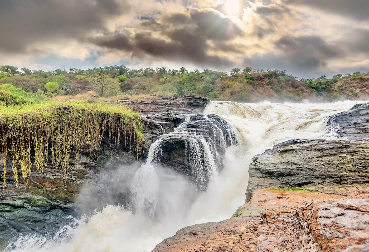 3-Day Murchison Falls National Park Safari — Uganda safari package in murchison Falls, Ziwa sanctuary